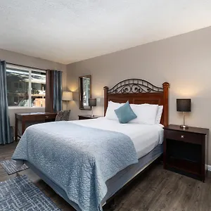 Hotel The Alder